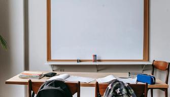 Dalla sostenibilità ambientale alla prevenzione del bullismo: cosa prevedono le nuove linee guida dell'educazione civica