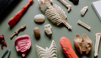 Specializzazioni Medicina, i posti disponibili 2024