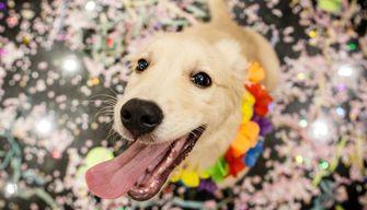 Quando iniziano le vacanze di Carnevale 2025?