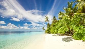 Cosa serve per sopravvivere in un'isola deserta? La guida definitiva