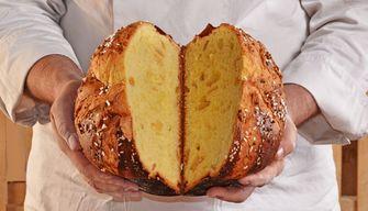 PanCricri, il panettone fatto con la farina di grilli