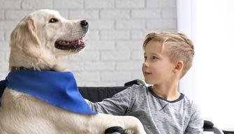 Insegnante porta il suo cane in classe: i risultati degli studenti migliorano