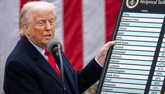 Cosa sono i dazi di Trump: a rischio anche la tecnologia e i... pinguini