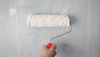 Milano, arriva la scuola anti-smog: pareti pitturate con una vernice che riduce l'inquinamento