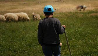 A 13 anni è ambasciatore del Made in Italy: 'Da grande voglio fare il pastore. Al cellulare preferisco gli animali'