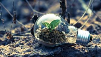 Giornata dell'Ambiente 5 giugno, le migliori frasi e aforismi da dedicare