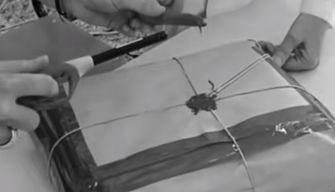 Come finisce la Maturità: l'emozionante video della prof mostra gli ultimi istanti dell'esame