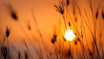 8 luglio, il giorno in cui siamo tutti alla luce del giorno