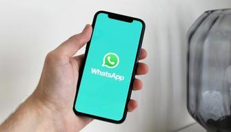 WhatsApp, la funzione per gli smemorati: ecco come impostarla e rispondere sempre a tutti i messaggi