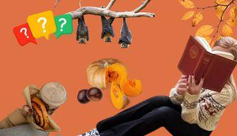 Quale frase autunnale racchiude la tua essenza? Fai il quiz