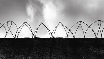 Perché il Giorno della Memoria si celebra il 27 gennaio?