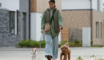 Basta vivere con la paghetta: come guadagnare 1.000 euro al mese studiando a tempo pieno all'Università