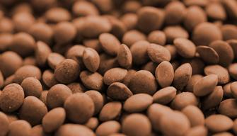 Perché si mangiano le lenticchie a Capodanno?