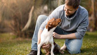 Vuoi prendere un cane? Prima devi superare un test per capire se sei in grado: ecco dove succede