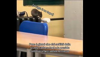 A scuola 'piovono' topi: il video della studentessa denuncia le condizioni precarie dell’istituto