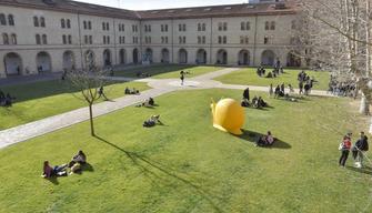 UNIVPM, la “Research University” nelle Marche: oltre il 90% dei laureati occupato a un anno dal titolo