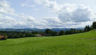 L'omaggio misterioso...