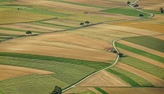 Commissari Maturità 2020 servizi agricoltura e sviluppo rurale: nomi e materie
