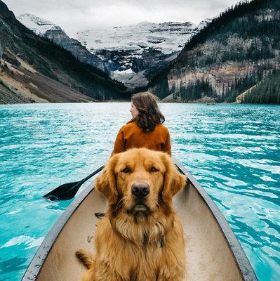 Su Instagram impazza il cane più Hipster del mondo!