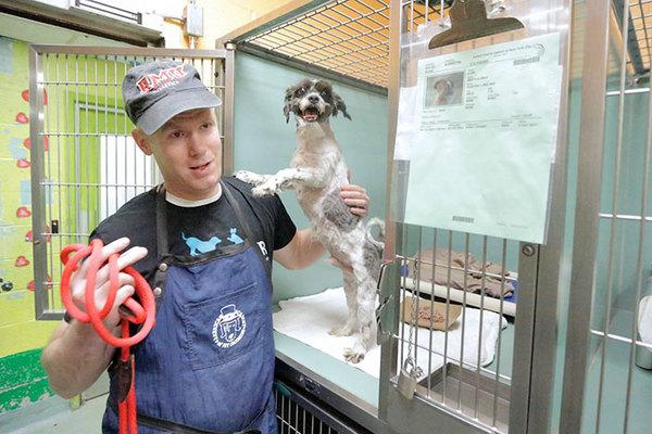 Eroe del giorno: l'uomo che salva i cani randagi e li cura