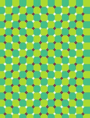 12 illusioni ottiche che vi faranno girare la testa!