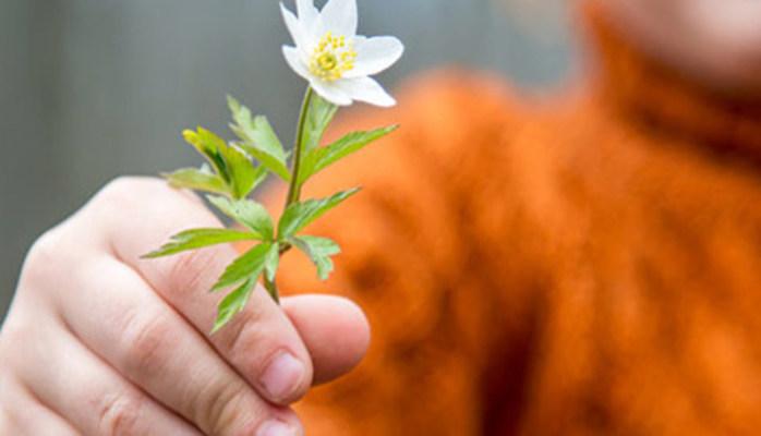 DonoDay2016: vota il tuo video preferito!