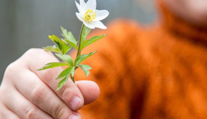 Al via il primo Giro dell’Italia che dona: partecipa anche tu