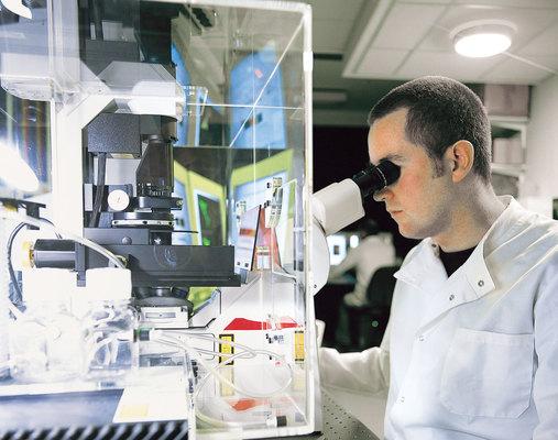 Ricerca universitaria: Padova prima in molte aree di studio