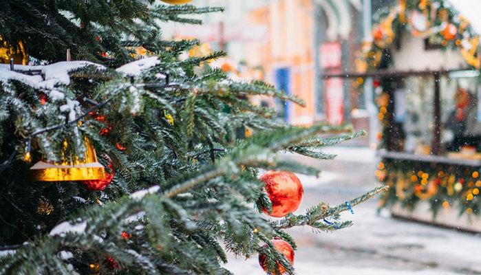 Scuole chiuse 8 e 9 dicembre: Ponte Immacolata 2017