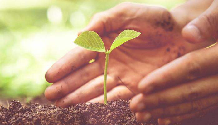 Materie maturità 2020 agrario