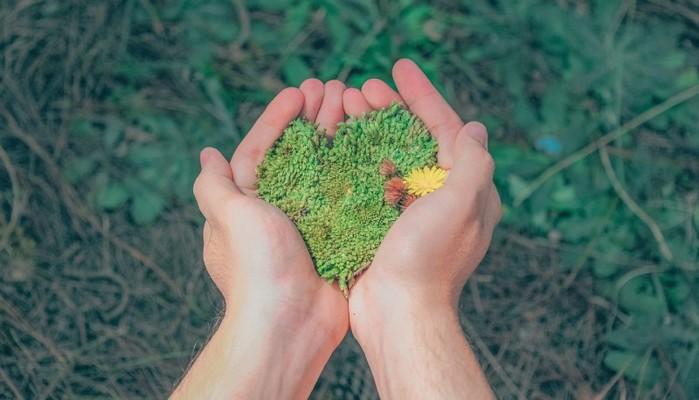 Maturità 2020, collegamenti interdisciplinari sull'ambiente per l'orale