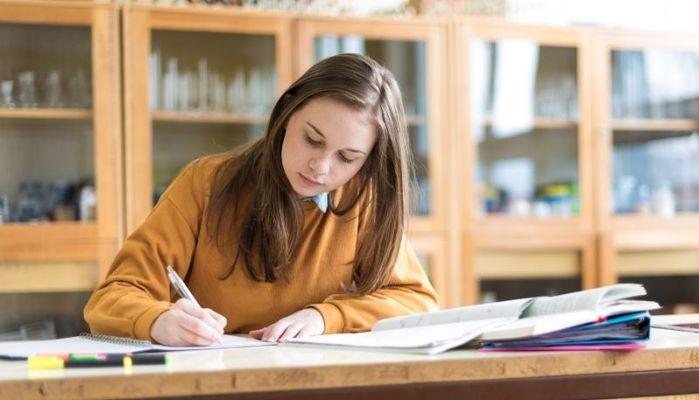 Come rendere divertente lo studio?