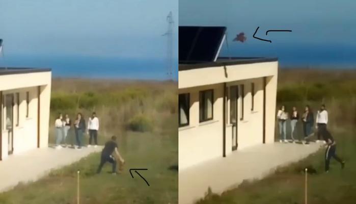 Studente lancia una gallina sul tetto della scuola: tutta la storia