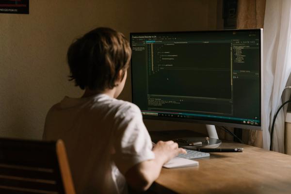 Violano i siti delle big tech, a capo degli hacker c'era un 16enne