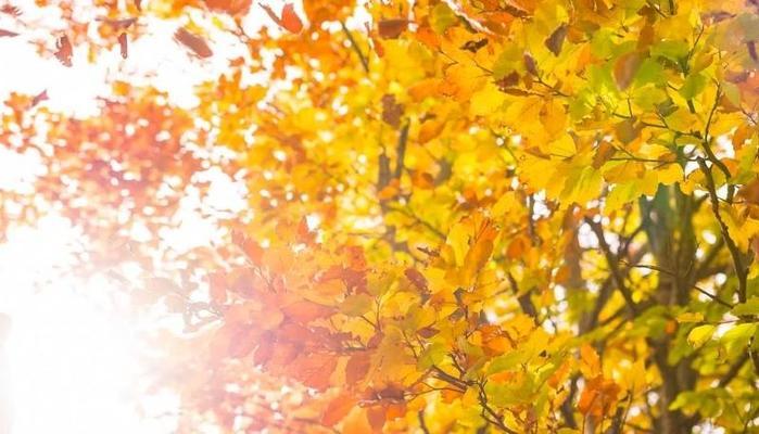 Quando cade l'equinozio d'autunno?