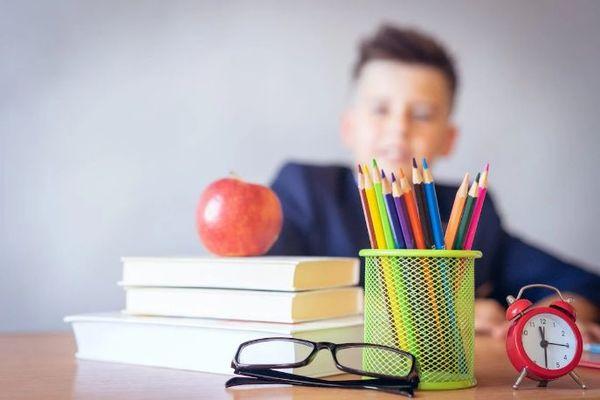 Flavio è affetto da autismo e a 10 anni cambia educatore ogni mese, la mamma: "Nell’ultimo periodo la situazione è precipitata"