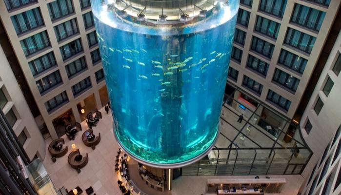 Berlino, esplode l’acquario Sea Life: 1500 pesci tropicali si riversano per le strade