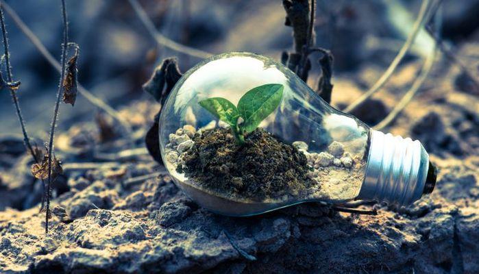 Ambiente, l'Università di Bologna ai vertici mondiali per attenzione alla "sostenibilità"