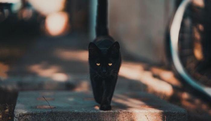 Perché si dice che venerdì 17 porta sfortuna?