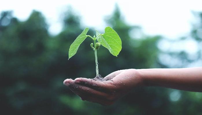 Giornata della Terra, perché si celebra il 22 aprile