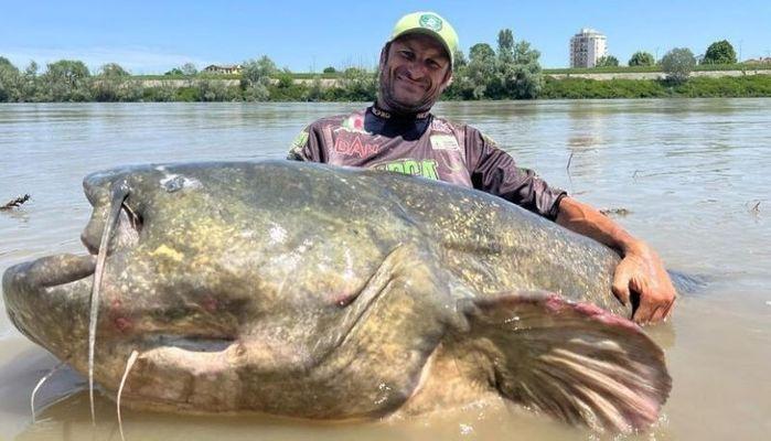 Che cos'è il mostro del Po, il pesce gigante catturato (e rilasciato) nel fiume