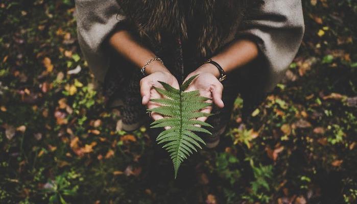 Università, 1 neolaureato su 7 ha fatto una tesi “green”. E studiare la sostenibilità fa lavorare di più e meglio