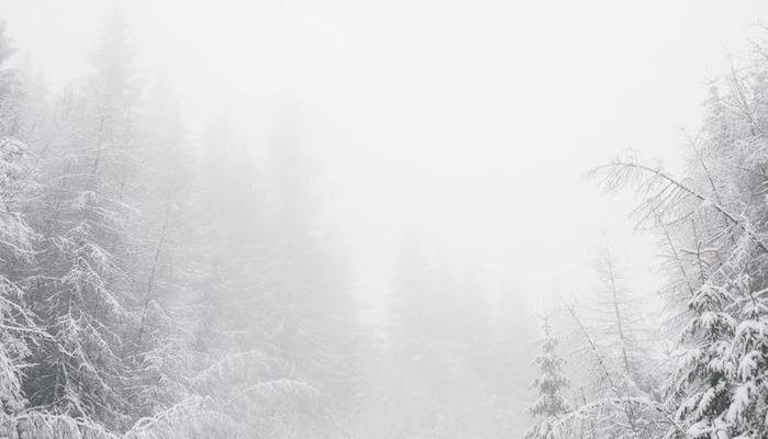 A 16 anni muore di freddo in Alto Adige, era uscita per una passeggiata