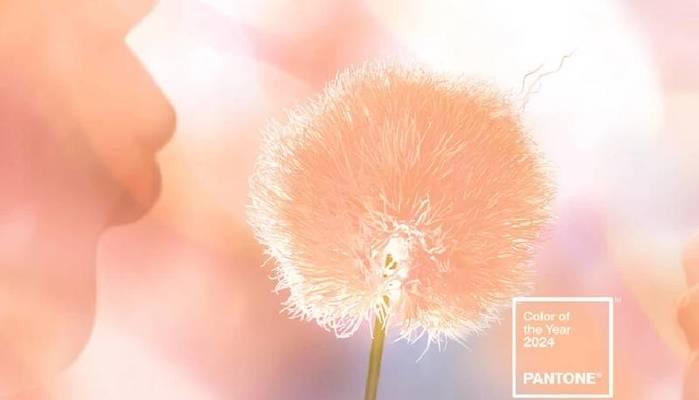 Pantone, il colore del 2024 è il Peach Fuzz