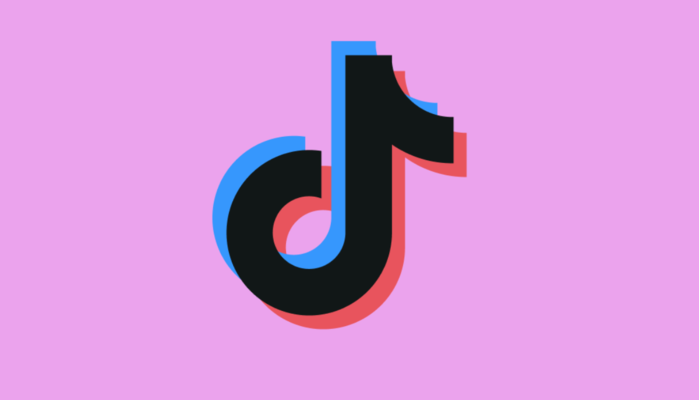 "Il mio animale preferito sono io...": cosa vuol dire il trend TikTok