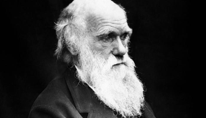 Maturità 2025, i collegamenti con Charles Darwin per il colloquio orale